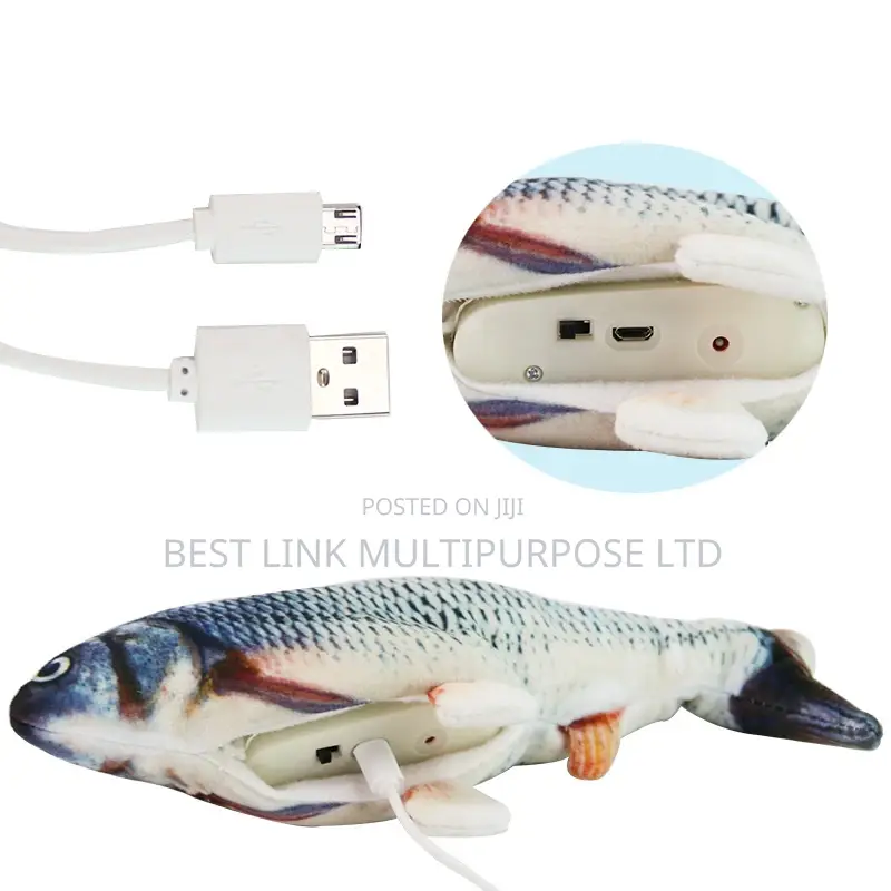 Dancing Toy Fish