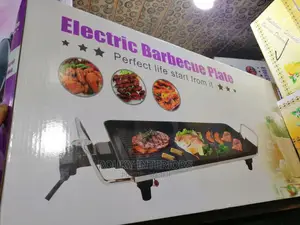 Electric Barbecue Plate