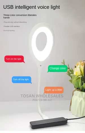 USB Intelligent Voice Light