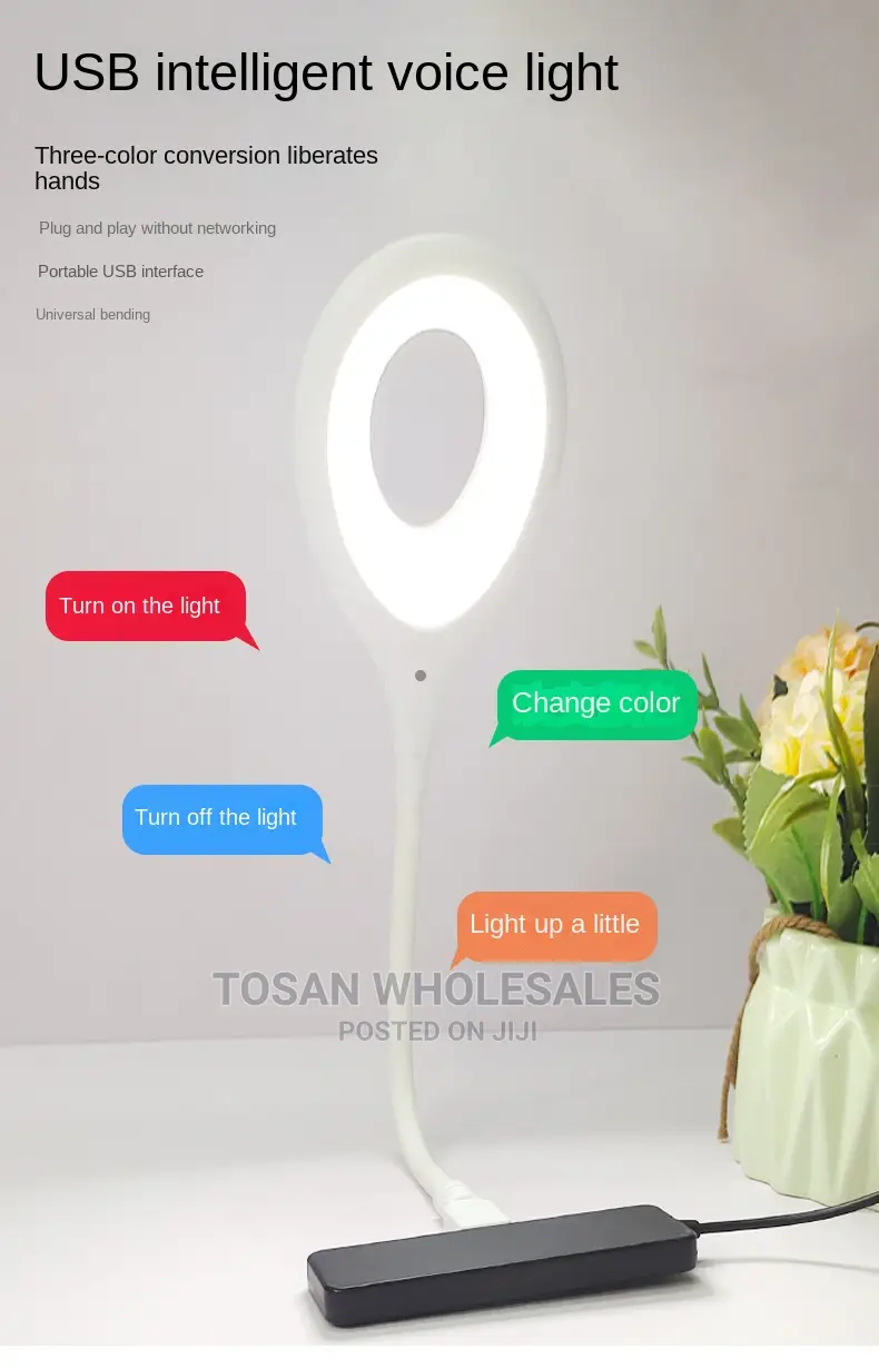 USB Intelligent Voice Light