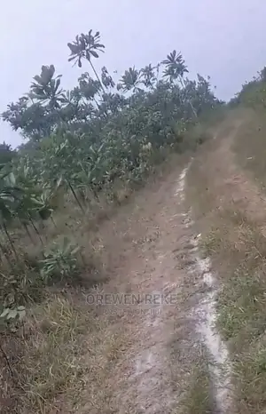 50 by 100 Plot of Land