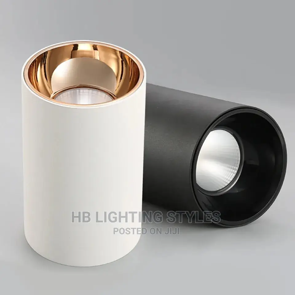 Modern Led Downlight Surface Mounted Aluminum Spot Led
