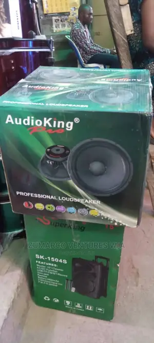 Audioking Naked Speaker