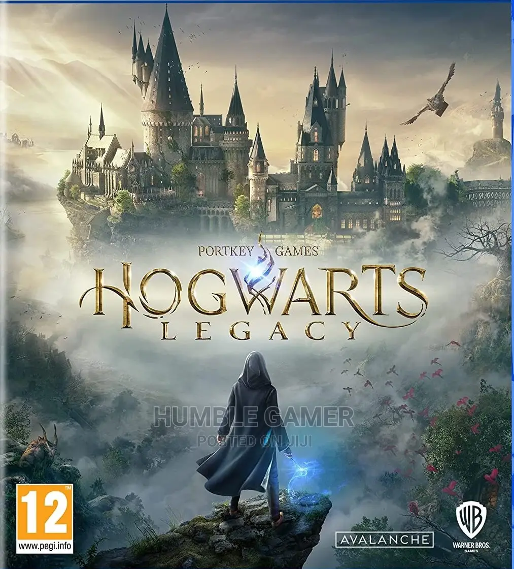 Hogwarts Legacy PC\Computer\Laptop Games Available