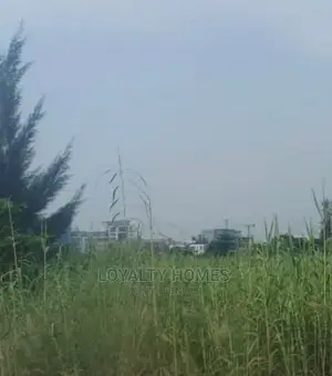 Nice Residential Land for Sale in Ikoyi