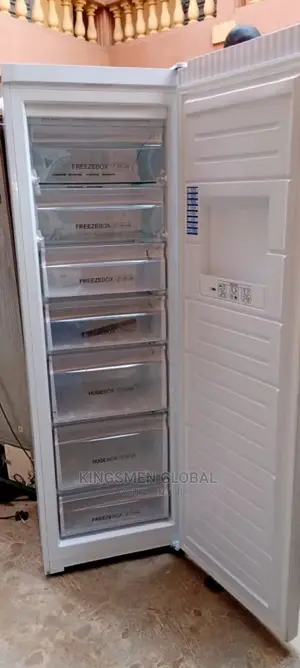Haier Inverter Upright Interswitch Freezer