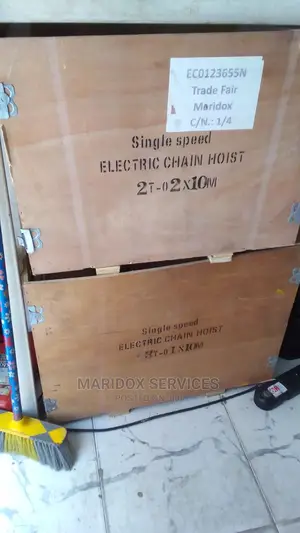 Electric Chain Hoist With Traveller 2tons