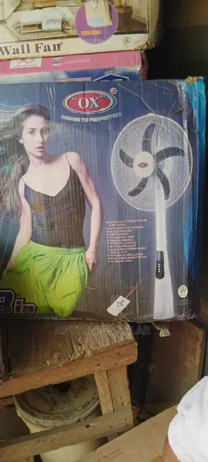 18"Rechargeable Fan