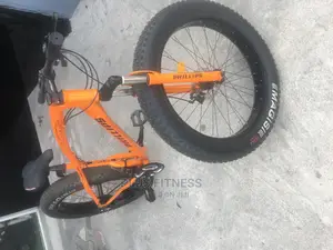 Adult Phillip Bicycle