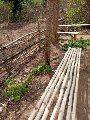 Photo - A Plot of Land at Onikoko Apete Ido, IB