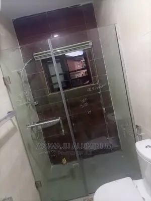 Frameless Shower Cubicle
