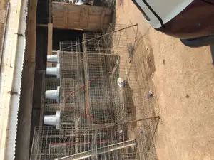 Fairly Used Battery Cage