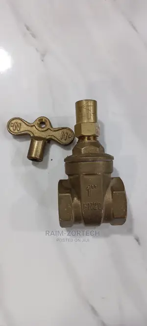 1" Lock and Take Gate Valve