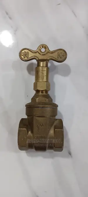 1" Lock and Take Gate Valve
