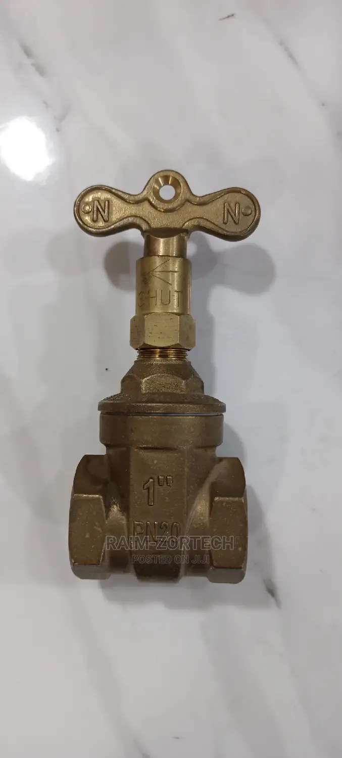 1" Lock and Take Gate Valve