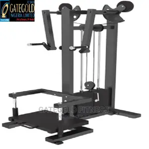 Commercial Lateral Raise DFT-1325