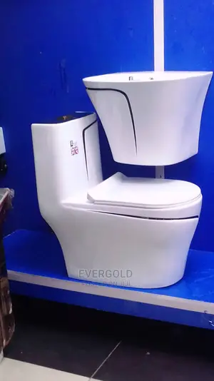 England's Executive Water Closet With Wall Hung Basin
