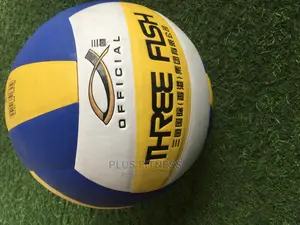 Three Fish Volleyball