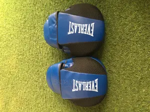 Everlast Boxing Pad