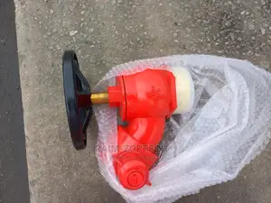 2-1/2" Fire Landing Valve