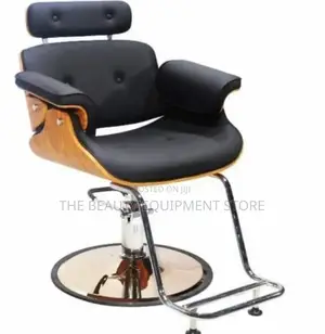 Exclusive Salon Chair