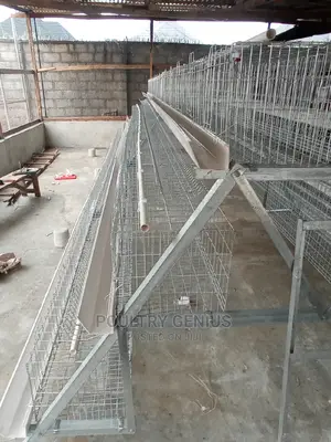 120 Capacity Hot Dipped Galvanized Chicken Cage