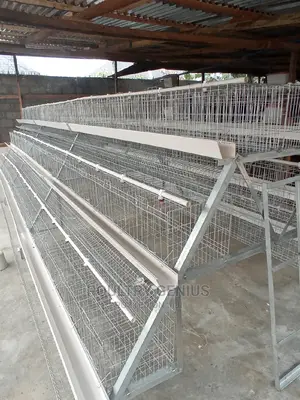 120 Capacity Hot Dipped Galvanized Chicken Cage