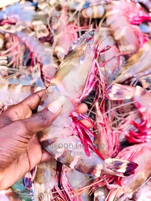 Fresh Jumbo Prawns