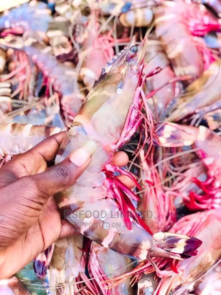 Fresh Jumbo Prawns