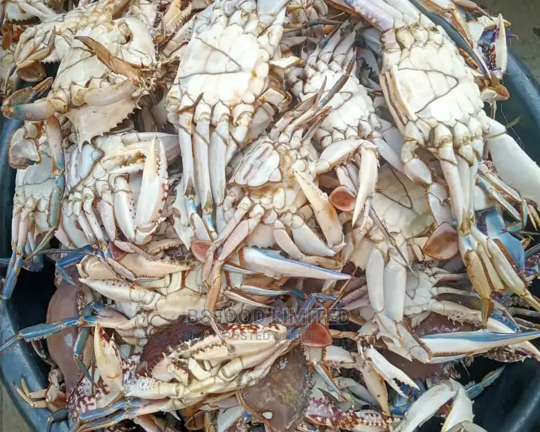 Crabs, Seafood