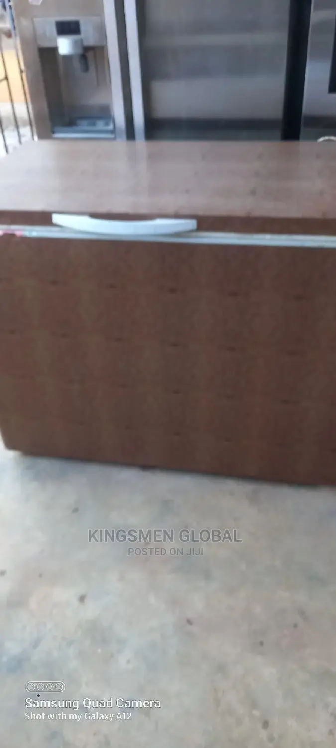 Liebherr High Quality Deep Freezer Made in Germany