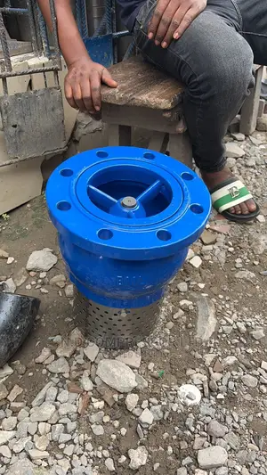 Water Non Returning Valve