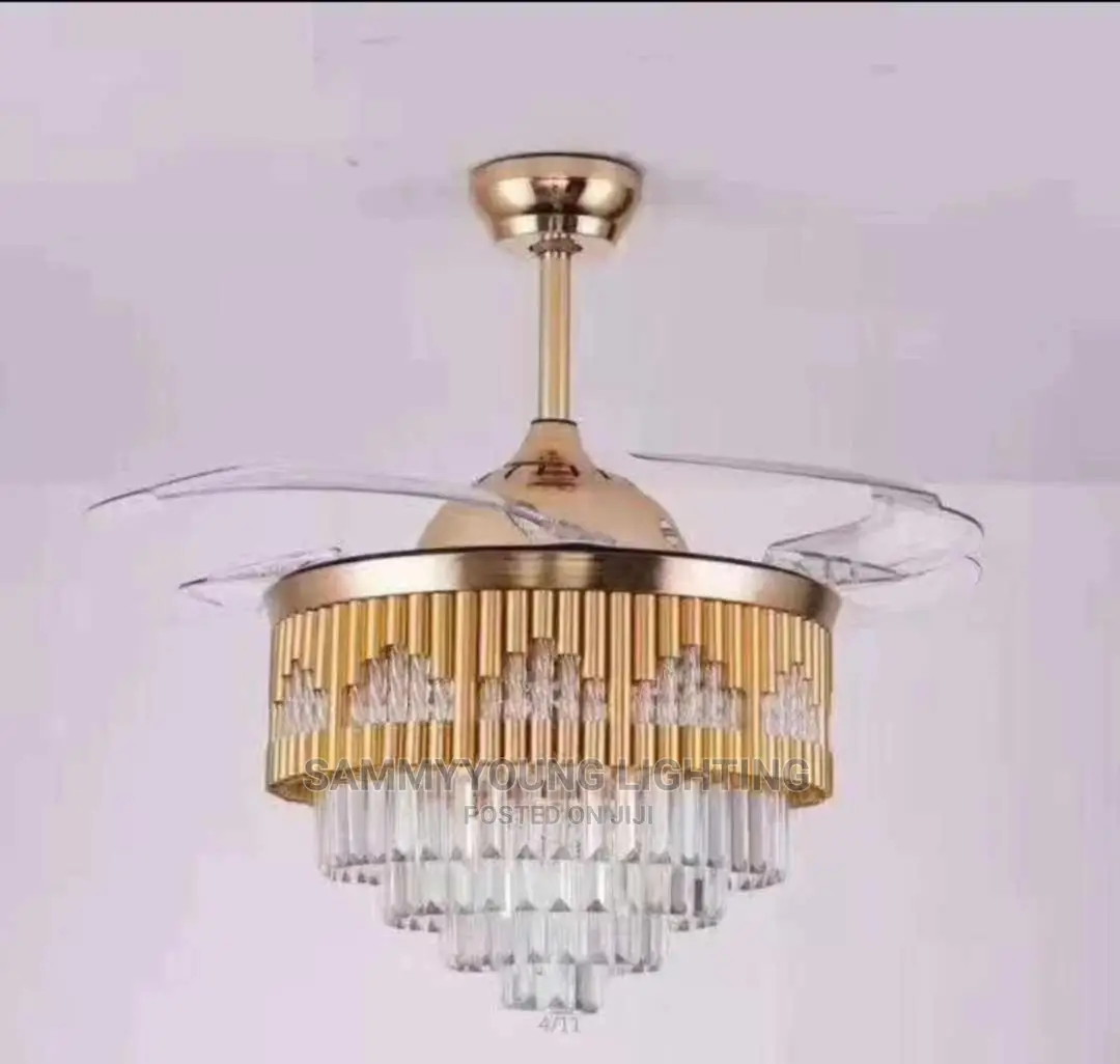 Fan Chandelier Light