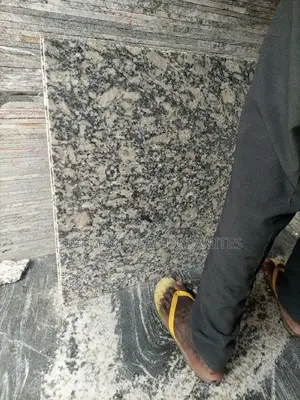 Granite Tiger White Tiles