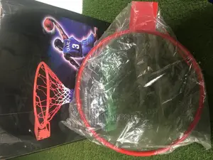 Basketball Rim and Net