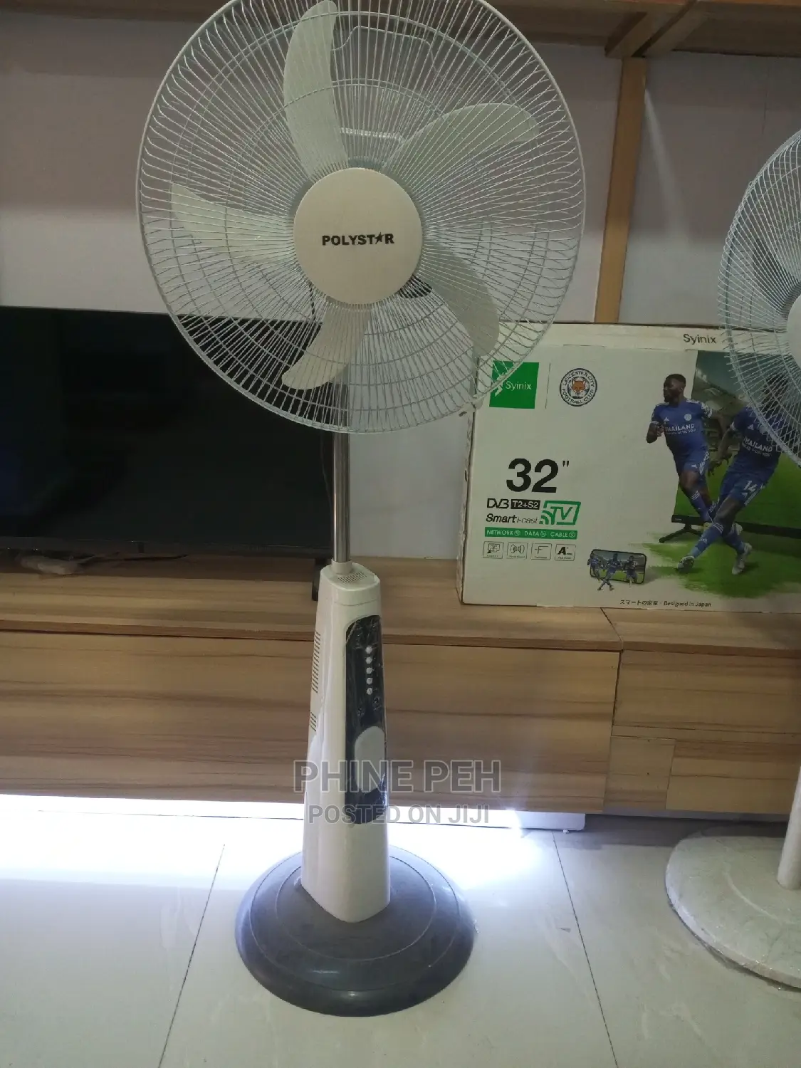 Polystar Reachable Standing Fan