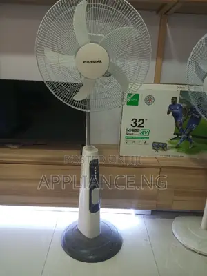 Polystar Reachable Standing Fan
