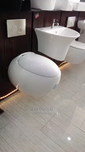 Conduit Wall Hung Water Closet With Wall Hung Basin