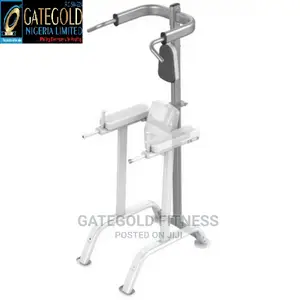 Vertical Knee Raise IT7010OPT