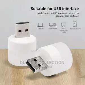 USB Portable LED Light