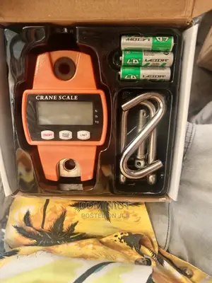 Hanging Scale Mini Crane