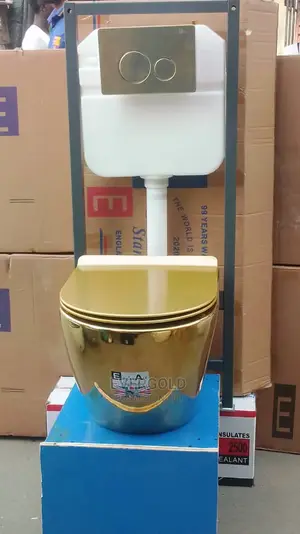 Golden Conduit Wall Hung Water Closet With Original Flush