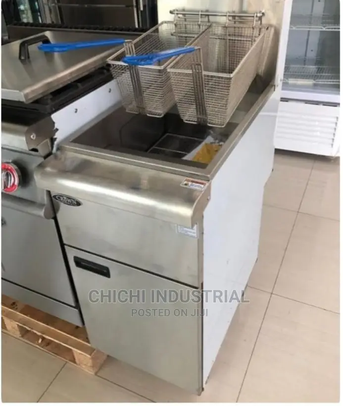 Deep Fryer ( Standing)