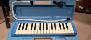 UK Used Melodion