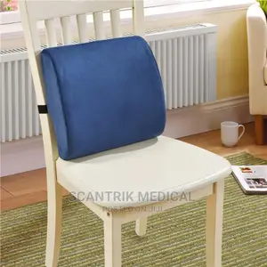Backrest Elderly Waist Pain Relief Pillow for Patients
