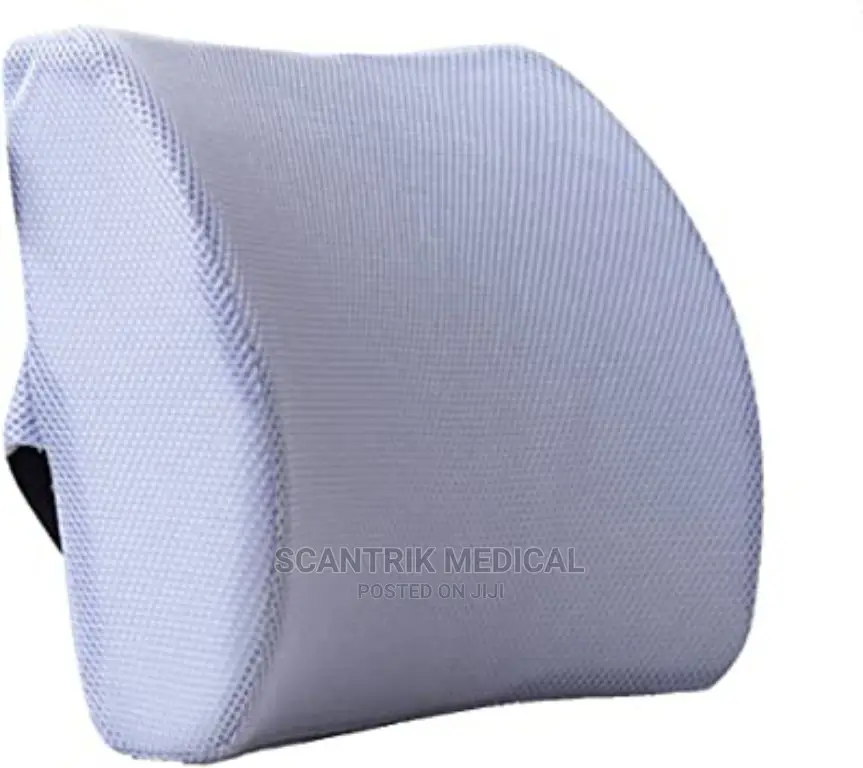 Back Lumbar Support Cushion