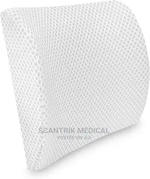Lower Back Pillow for Lower Back Pain,