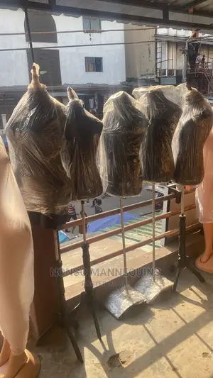 Dressforms Both Male and Female