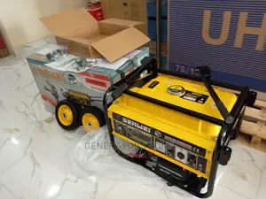 Senwei Key Start Automatic-Sv6200e2-4.5kva-House Generator