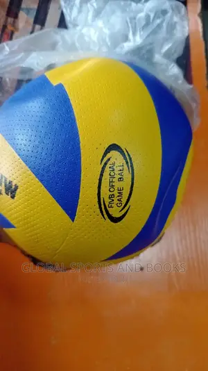 Volleyball